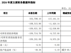 破发股帕瓦股份2024年增亏 2022年上市即巅峰募17亿