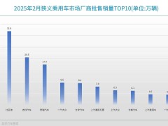 2月车企销量TOP10：比亚迪月销破30万辆，车市格局加速裂变