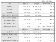 天合光能2024年亏34.55亿 2020年上市3度募资共166亿