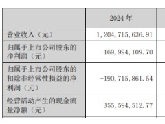 赛微电子终止不超20亿可转债 2024转亏6年2募资近36亿